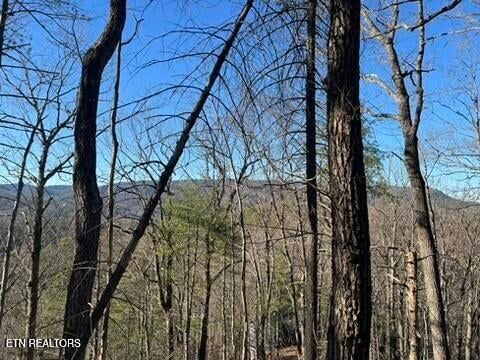 2353 Headrick Lead, Sevierville, TN 37862