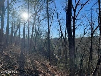 2353 Headrick Lead, Sevierville, TN 37862