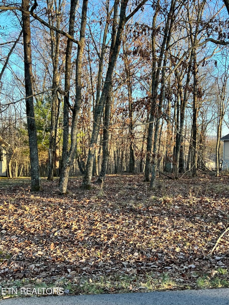 236 Amherst Ln, Crossville, TN 38558
