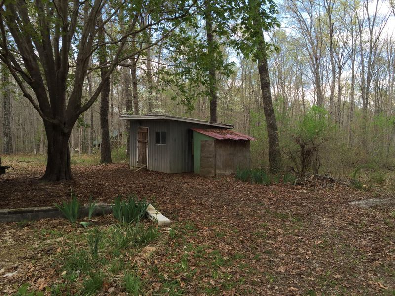 236 Bowater Rd, Deer Lodge, TN 37726