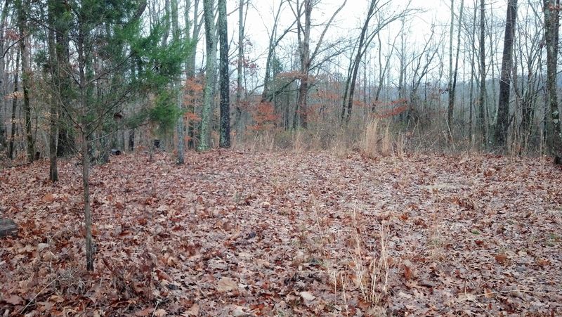 236 Co Rd 3, Calhoun, TN 37309