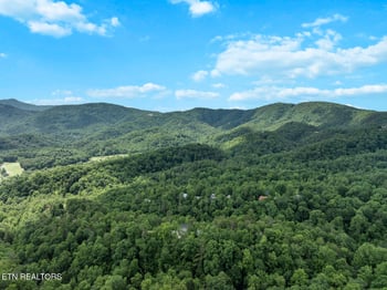 236 Tolliver Tr, Townsend, TN 37882