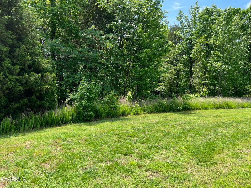 237 E Shore Dr, Rockwood, TN 37854