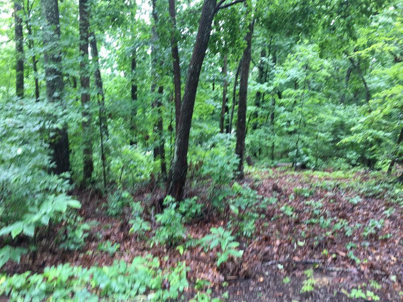 237 Gadusi Tc, Loudon, TN 37774