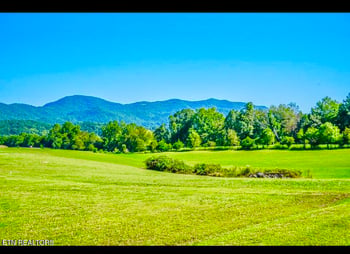 237 Myers Rd, Townsend, TN 37882
