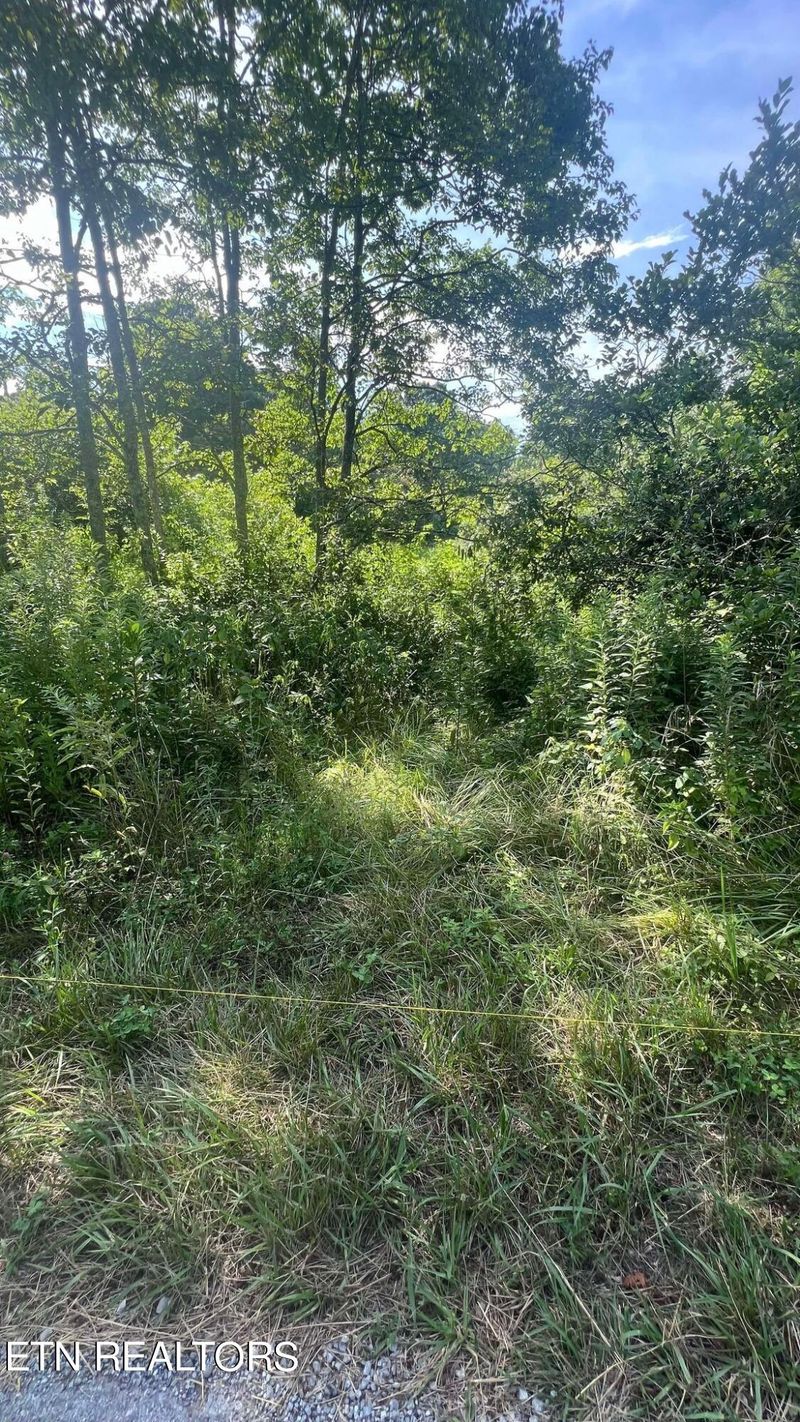 237 Smithfield Rd, Tellico Plains, TN 37385