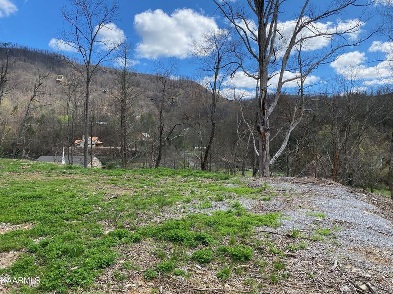 238 Brownsridge Rd, Gatlinburg, TN 37738