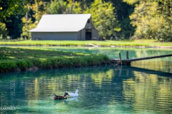 238 Pumpkin Hollow Rd, Heiskell, TN 37754