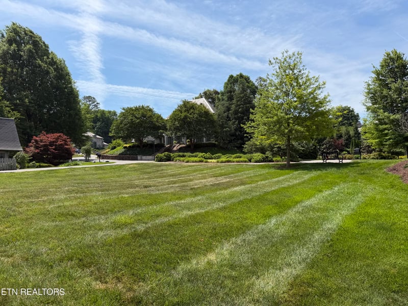 238 Sequoyah Gardens Way, Knoxville, TN 37919