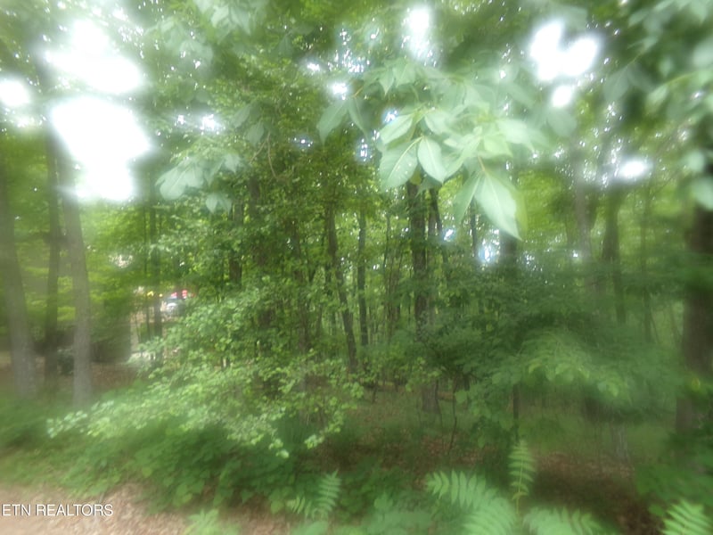 239 Amherst Ln, Crossville, TN 38558