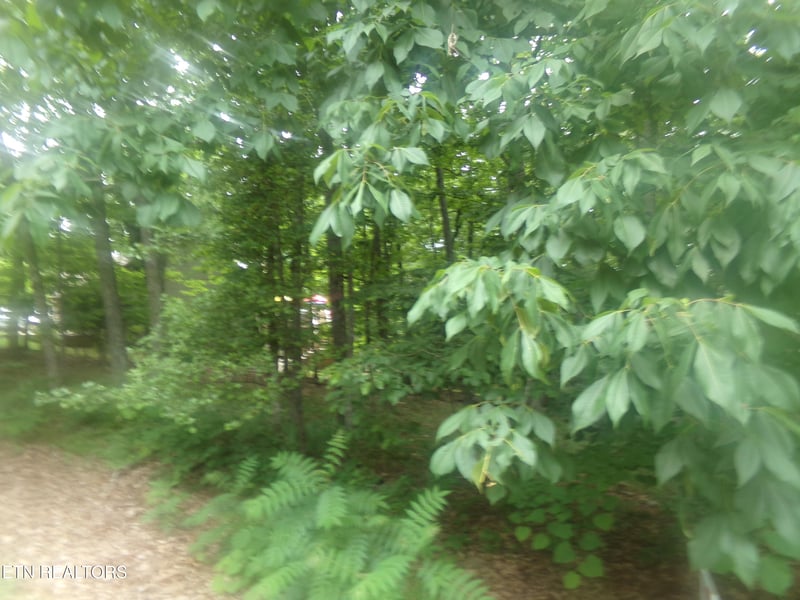 239 Amherst Ln, Crossville, TN 38558