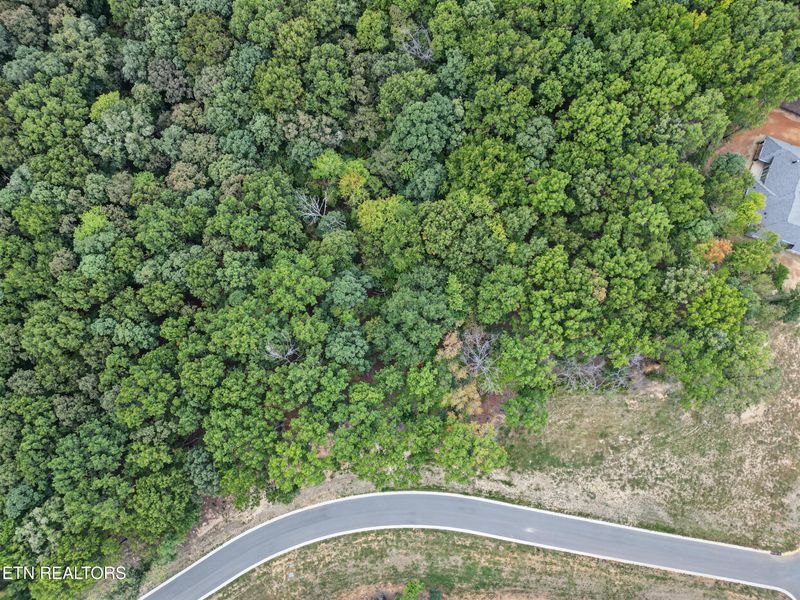 239 Flip Flop Way, Loudon, TN 37774