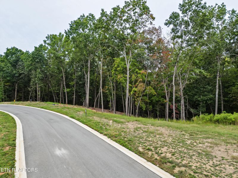 239 Flip Flop Way, Loudon, TN 37774