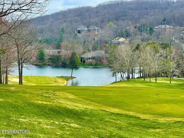 24 Chipman Ct, Crossville, TN 38558