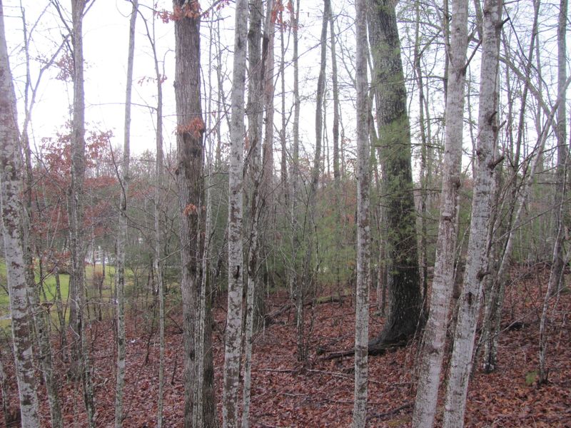 24 Hunterwood Ct, Fairfield Glade, TN 38558