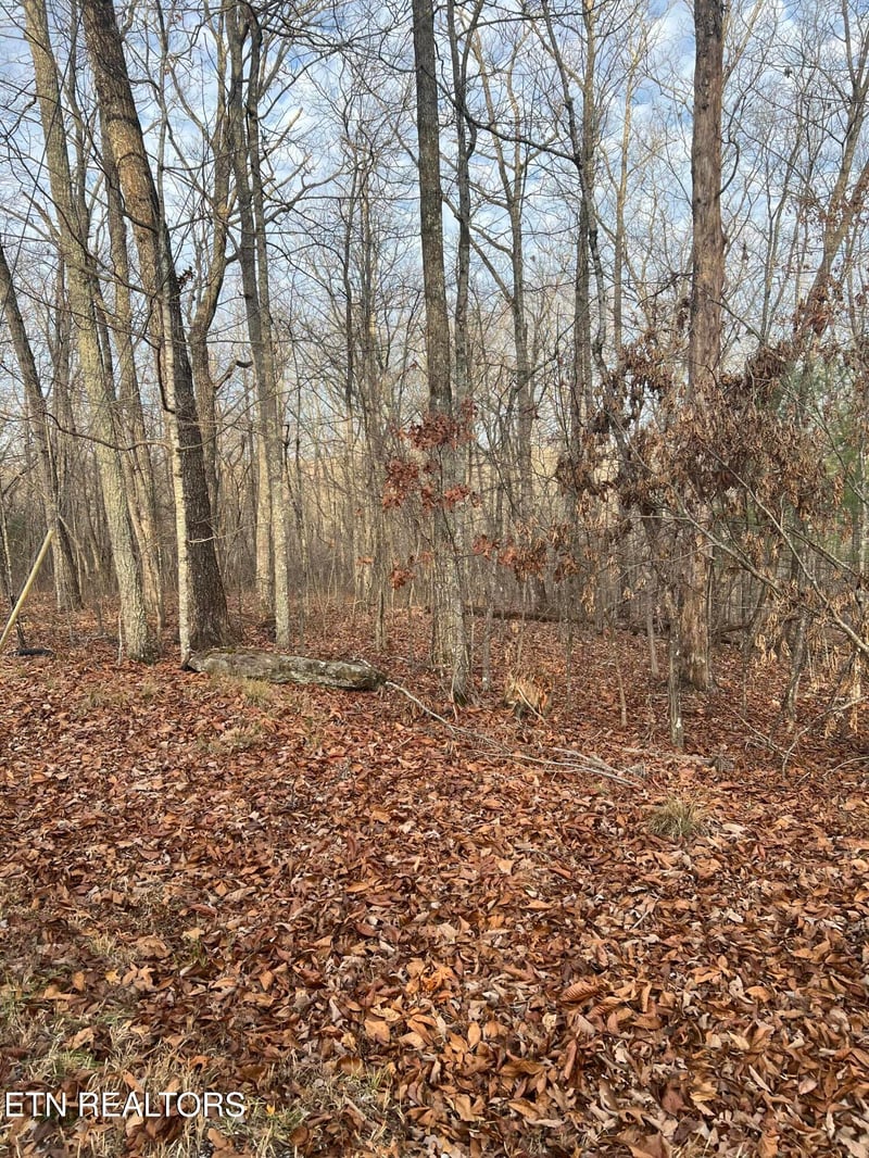 240 Albemarle Cir, Crossville, TN 38558