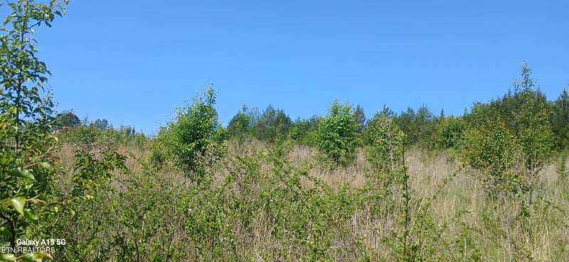 240 County Road 564, Englewood, TN 37329