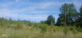 240 County Road 564, Englewood, TN 37329