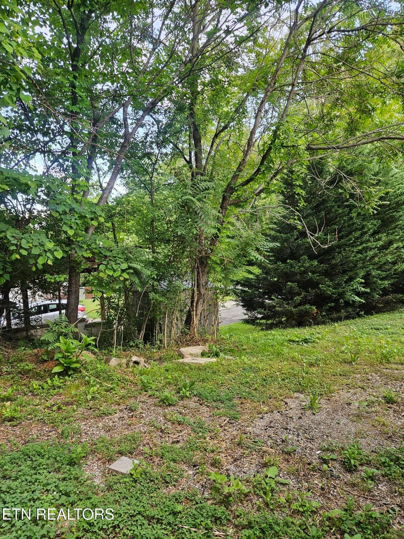 240 Henderson Hollow Rd, Knoxville, TN 37931