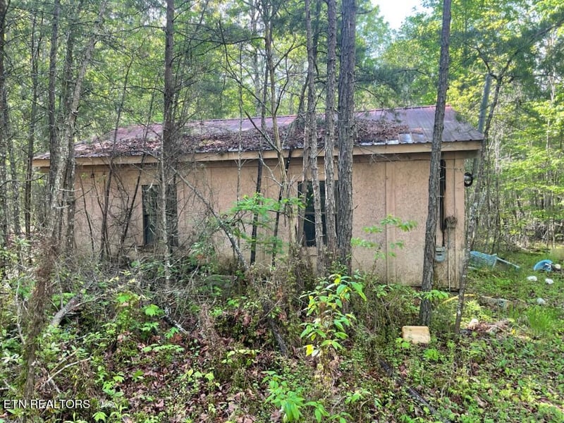 240 Perkins Tr, Deer Lodge, TN 37726