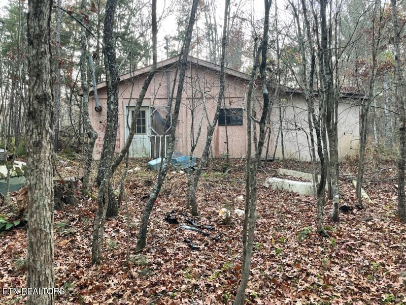 240 Perkins Tr, Deer Lodge, TN 37726