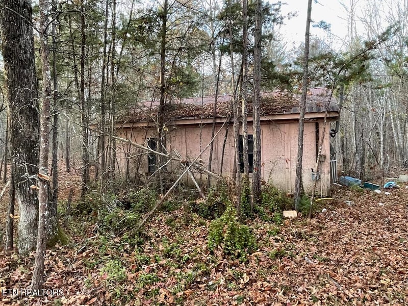 240 Perkins Tr, Deer Lodge, TN 37726