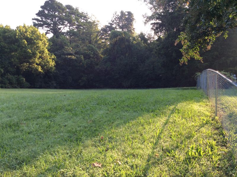 2400 Shipetown Rd, Mascot, TN 37806