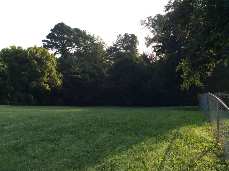 2400 Shipetown Rd, Mascot, TN 37806