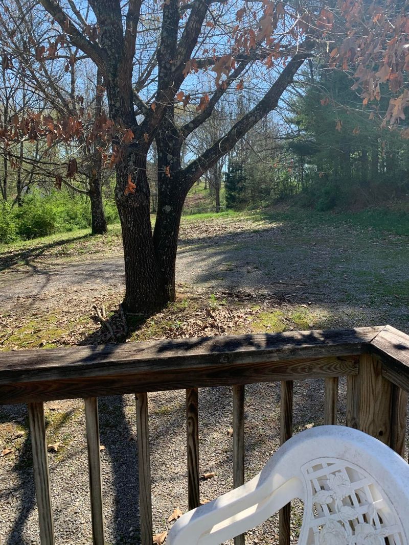 2405 Reed Springs Rd, Philadelphia, TN 37846