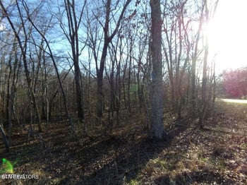 2405 White Horse Dr, Crossville, TN 38572