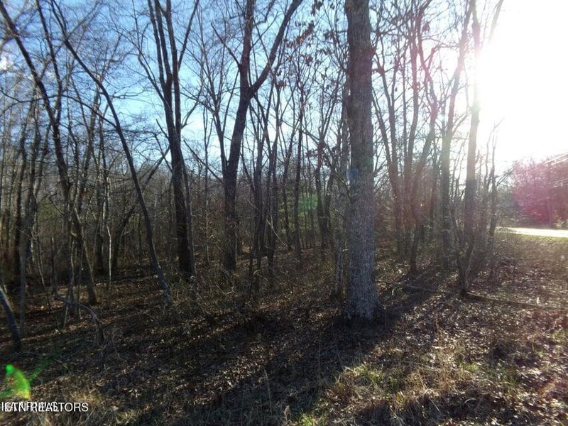 2405 White Horse Dr, Crossville, TN 38572