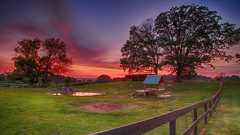 2407 Diggs Rd, Knoxville, TN 37932