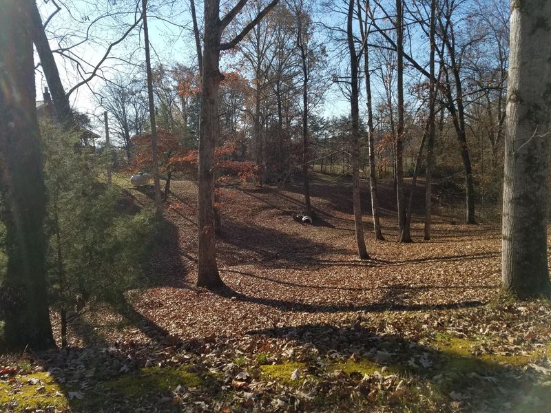 241 Lee Rd, Tellico Plains, TN 37385