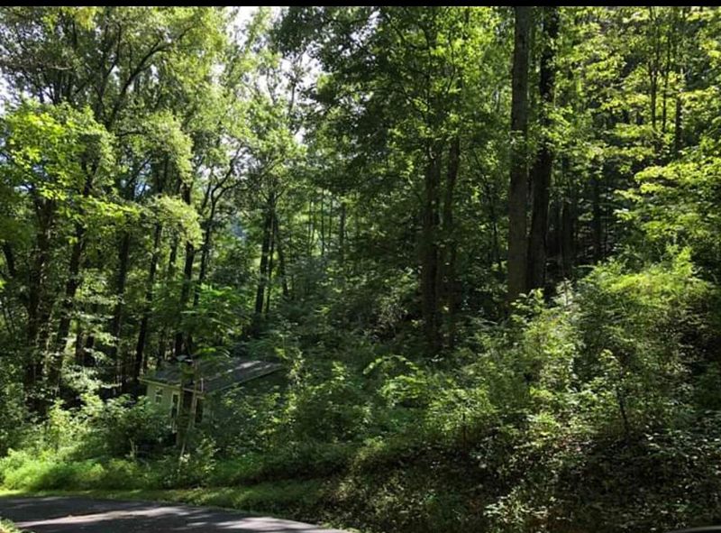 241 Mountain Side Ln, Rocky Top, TN 37769