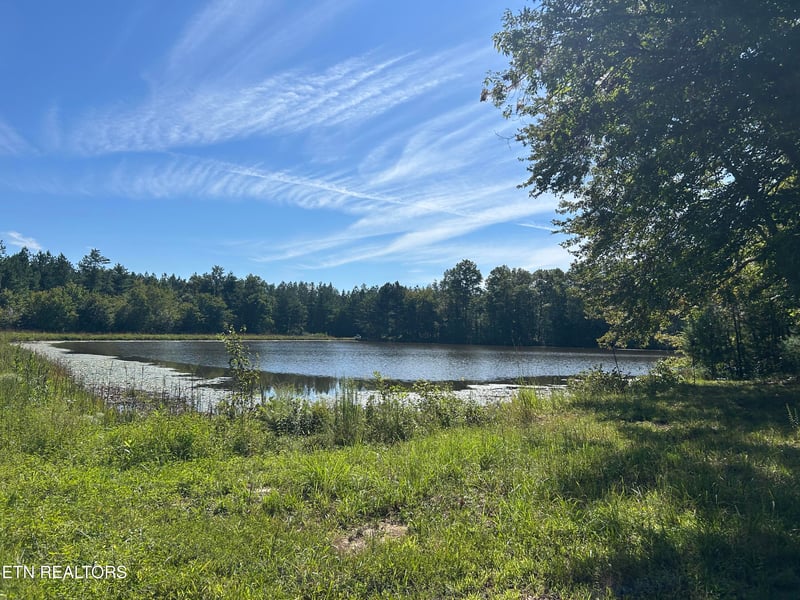 241 Star Lake Way, Deer Lodge, TN 37726