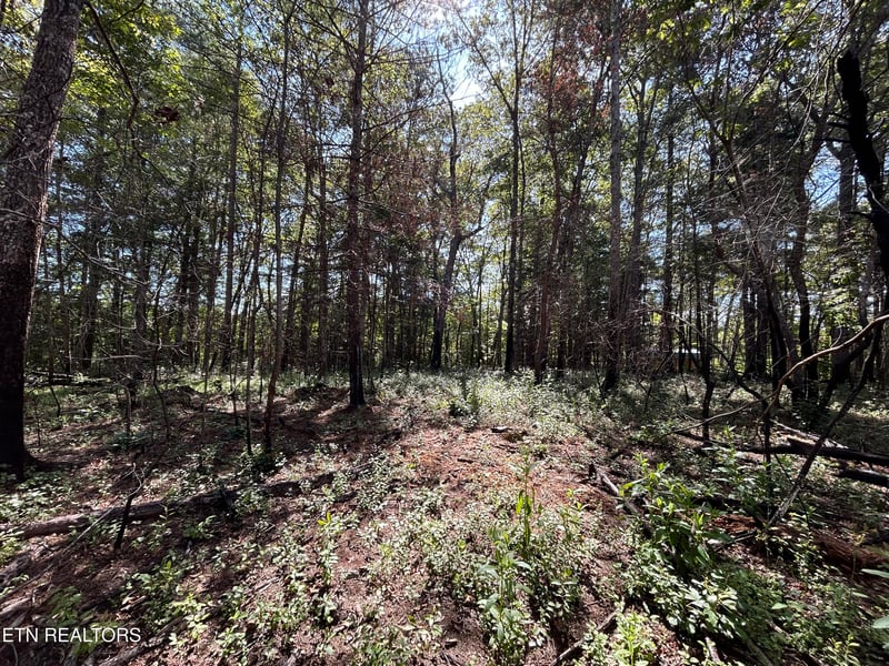 241 Star Lake Way, Deer Lodge, TN 37726