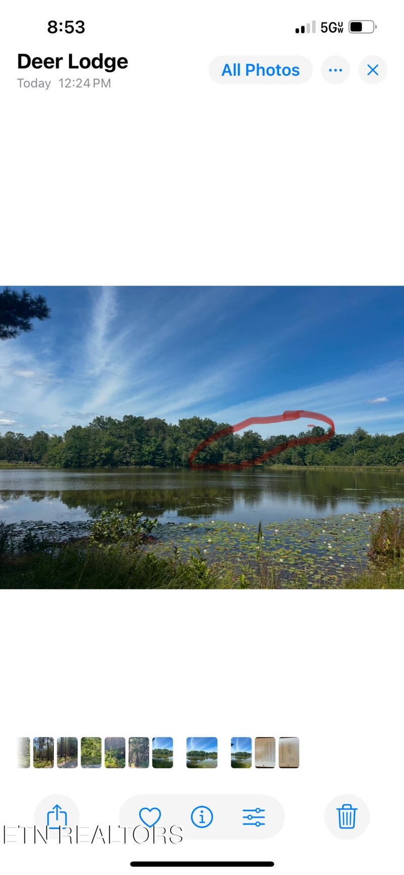 241 Star Lake Way, Deer Lodge, TN 37726
