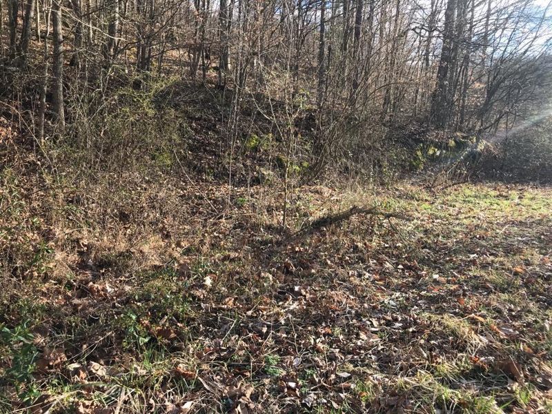 2428 Little Elk Creek Rd, Pioneer, TN 37847