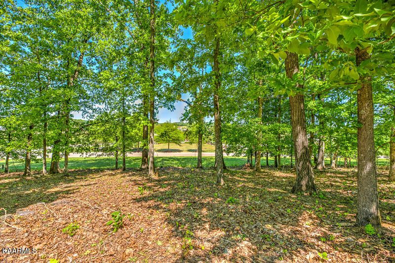 243 Black Cove Ln, Loudon, TN 37774