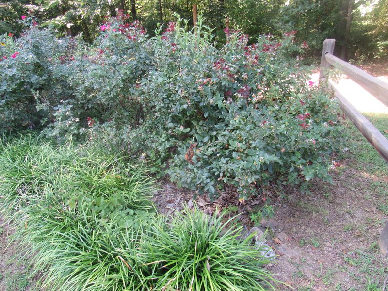 244 Heidle Rd, Harriman, TN 37748