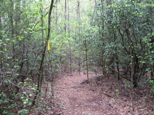 244 Massingale Rd, Tellico Plains, TN 37385
