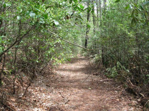 244 Massingale Rd, Tellico Plains, TN 37385