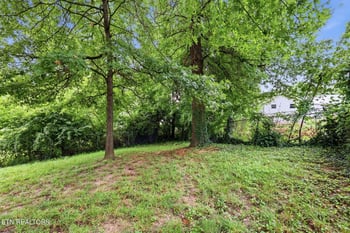 2447 Amber St, Knoxville, TN 37917