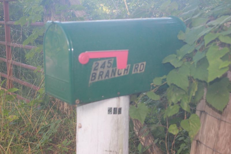 245 Branch Rd, Blaine, TN 37709
