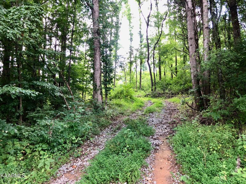 246 John J Duncan Pkwy, Athens, TN 37303