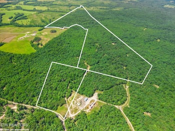 246 - TBD Perkins Tr, Deer Lodge, TN 37726