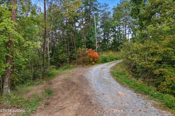 2462 Dogwood Loop Dr, Sevierville, TN 37876