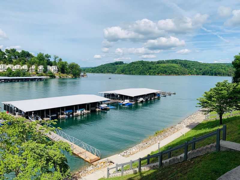247 Doe Ln #2H, Lafollette, TN 37766