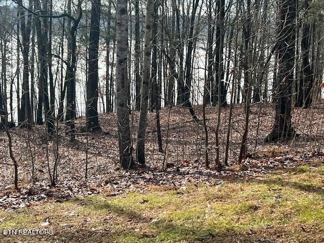 247 E Shore Dr, Rockwood, TN 37854