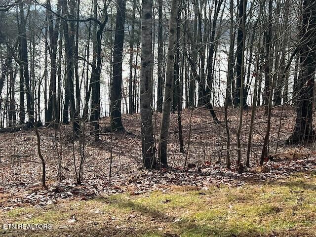 247 E Shore Dr, Rockwood, TN 37854
